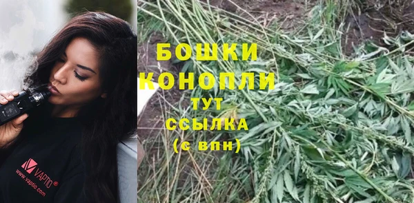 мяу мяу мука Беломорск