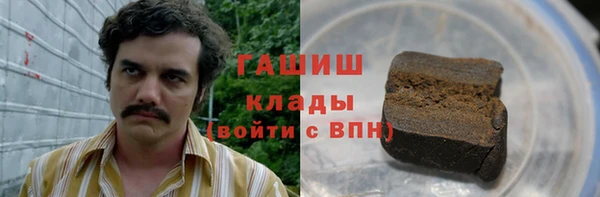 шишки Белокуриха