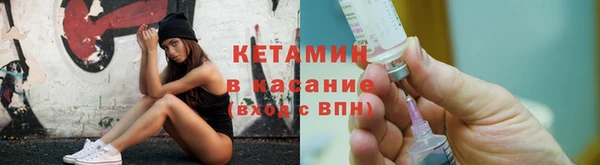 шишки Белокуриха