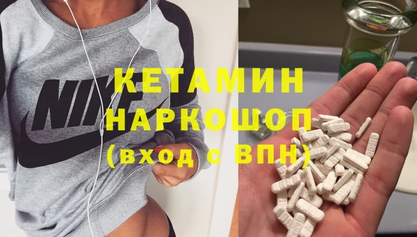 шишки Белокуриха