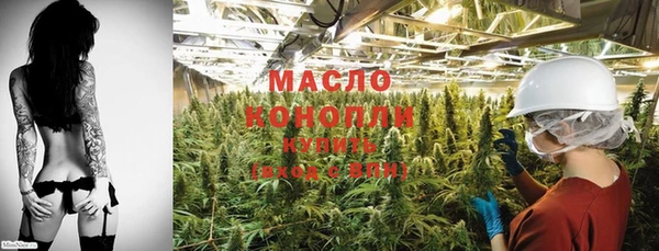 шишки Белокуриха