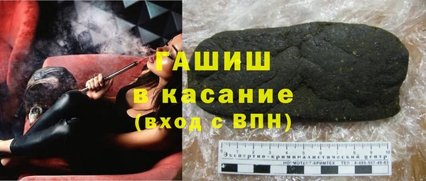 шишки Белокуриха