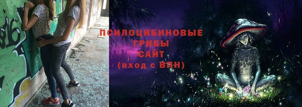шишки Белокуриха