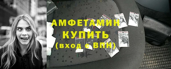 шишки Белокуриха